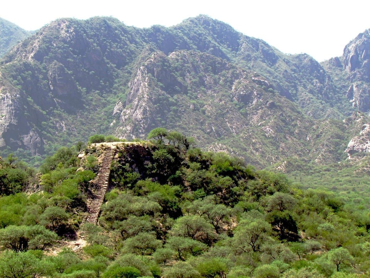 Ruinas de Shincal de Quimivil